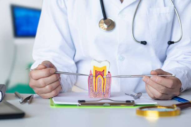 Best Emergency Dentist for Knocked-Out Tooth in Cleveland Heights, OH